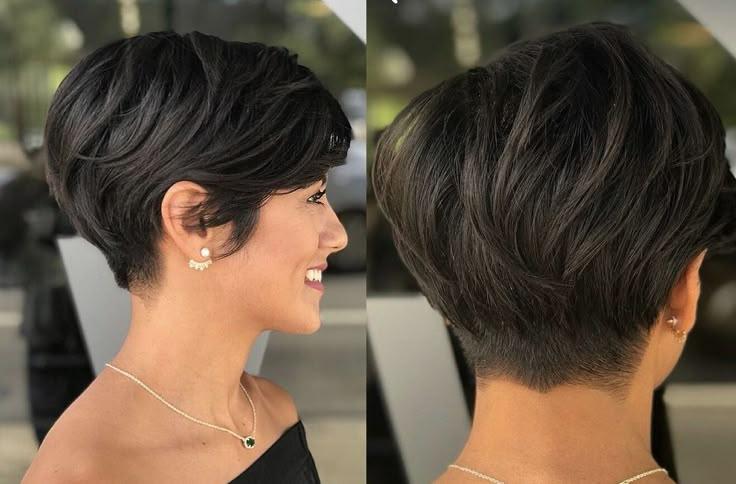 Dunkler Pixie Bob elegant