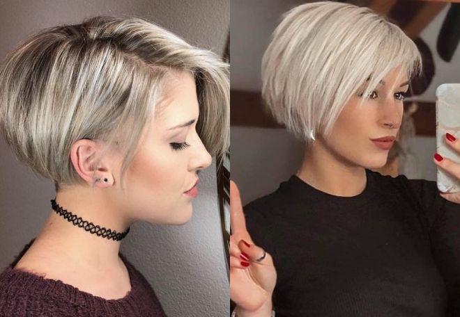 Pixie Bob kurze Variante